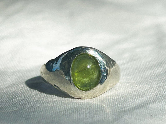 VESTIGE